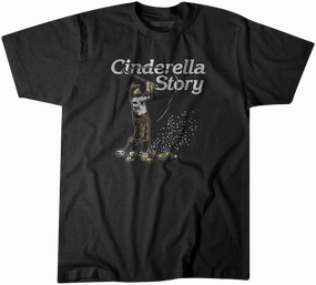 BreakingT Cinderella Story