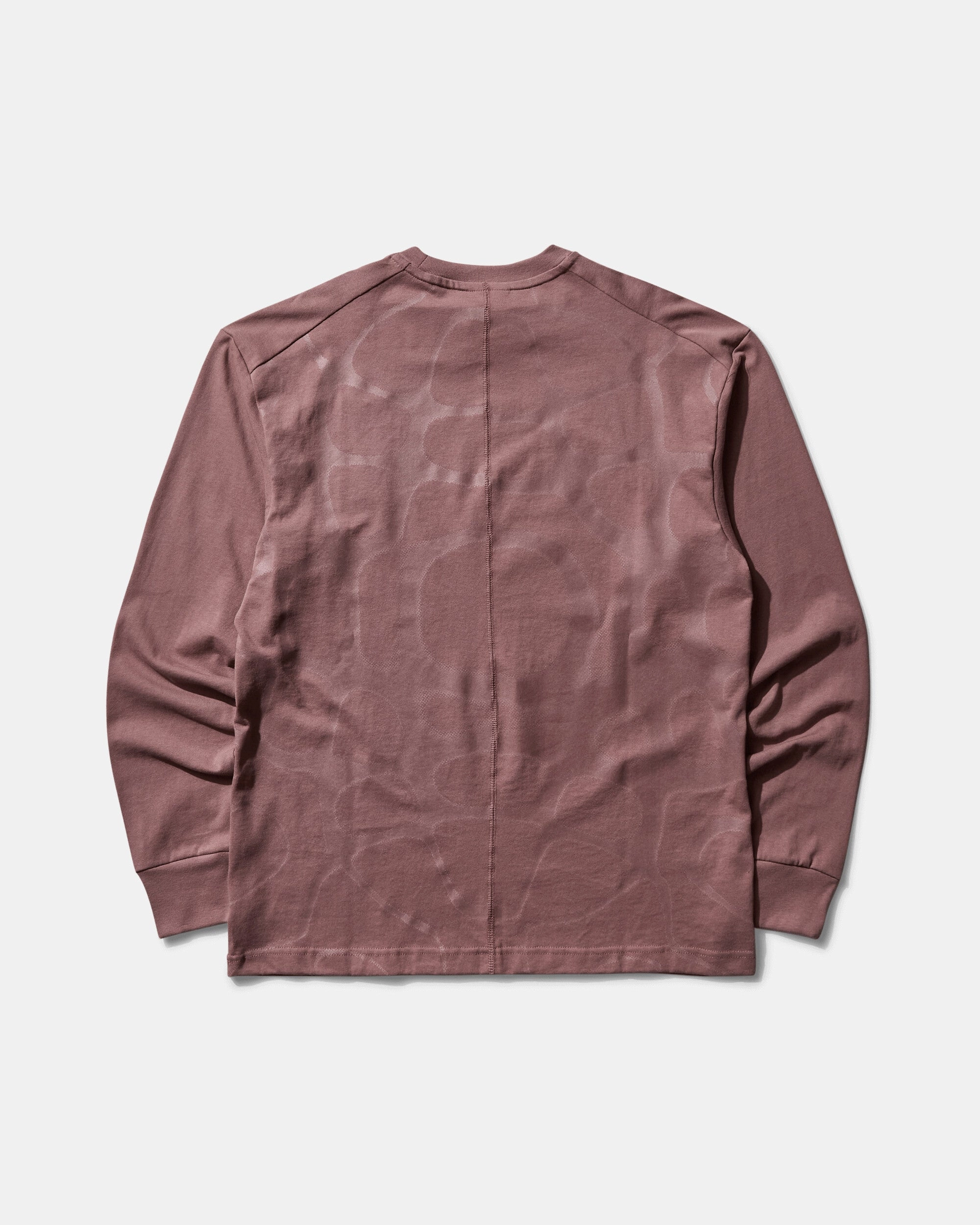 Men's ISPA Protect Sense Longsleeve T-Shirt Smokey Mauve