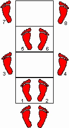 Speed Agility Ladder -