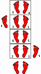 Speed Agility Ladder -
