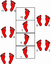 Speed Agility Ladder -