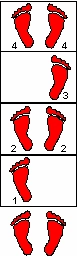 Speed Agility Ladder -