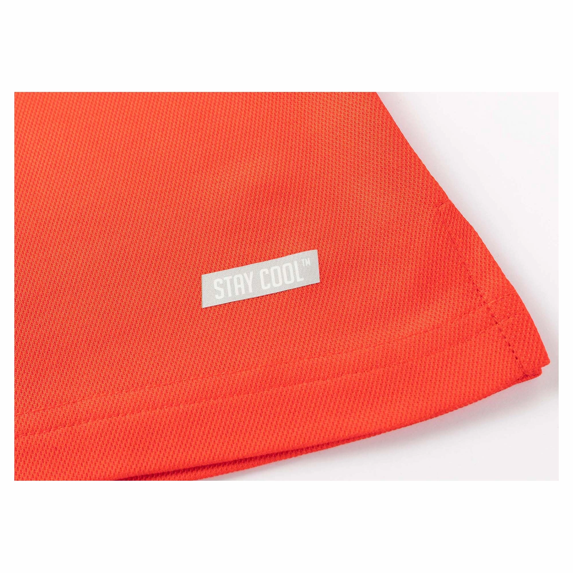 Women's NRL Redcliffe Dolphins 2025 Media Polo